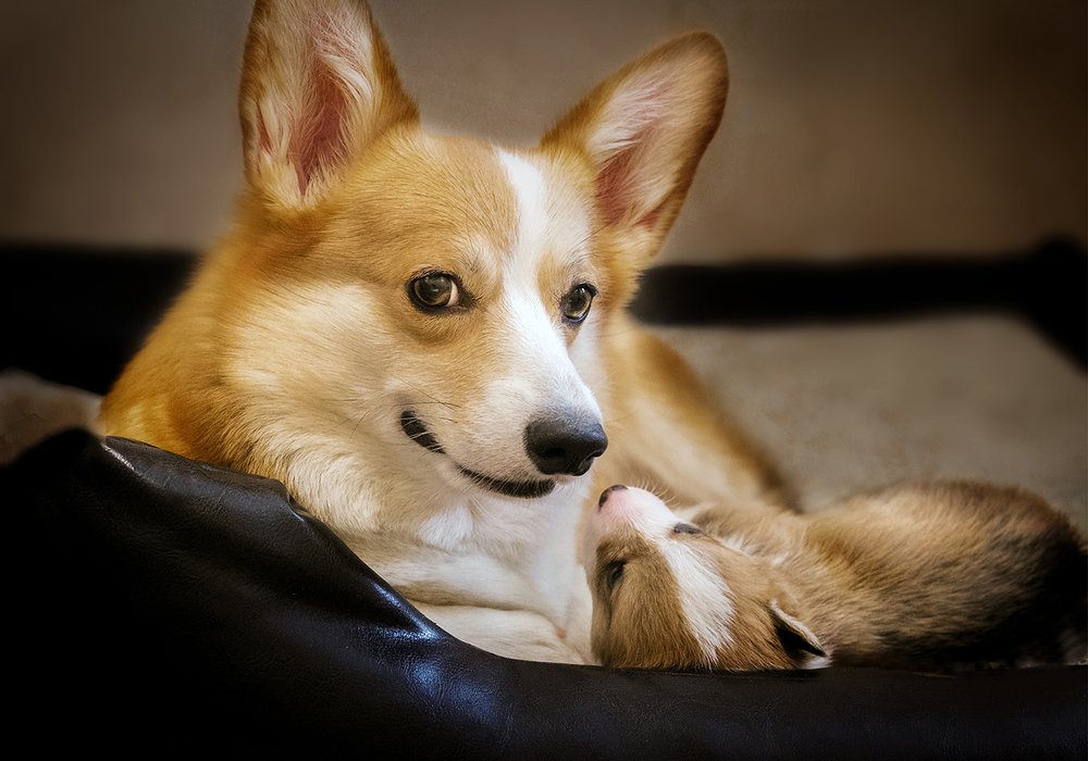 Photograph by Татьяна Тихомирова