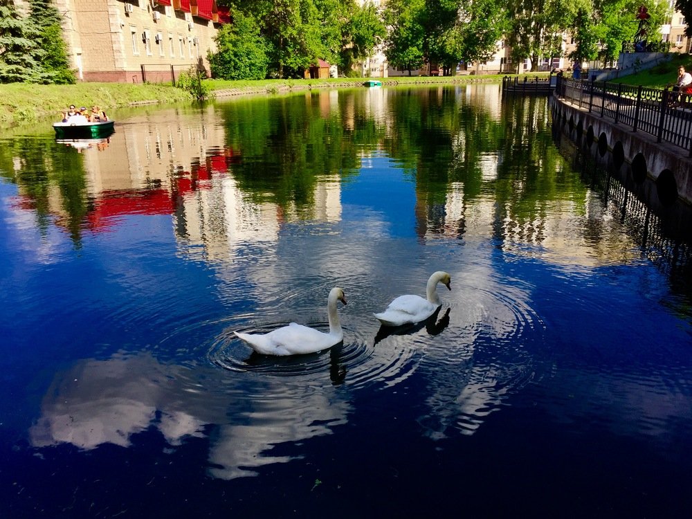 Такое разное отражение или облачные тени