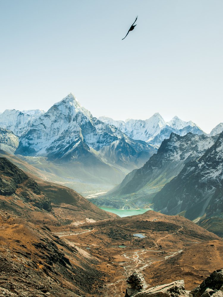 Fly in every direction.