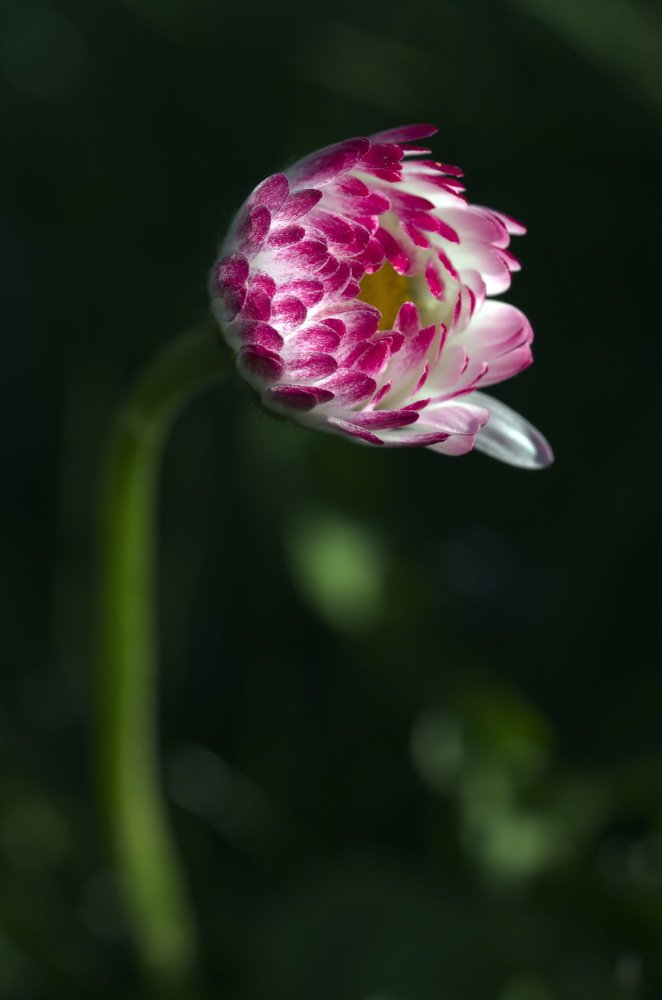 Photograph by Юрий Кашлевский