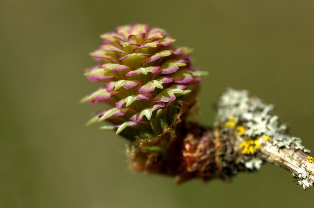 Photograph by Юрий Кашлевский