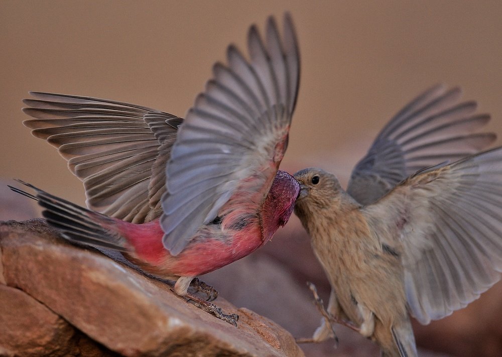 Photograph by Виктор Бондарев
