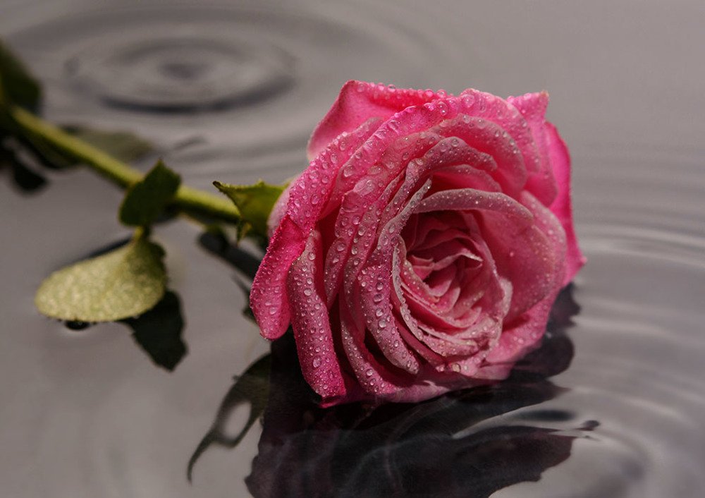 Photograph by Vladimir Belogorokhov