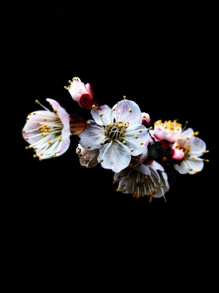 Photograph by Рыжик Алёна