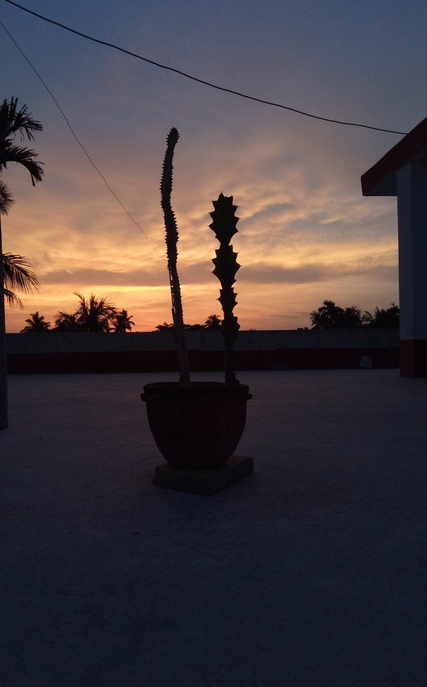 Nature photography