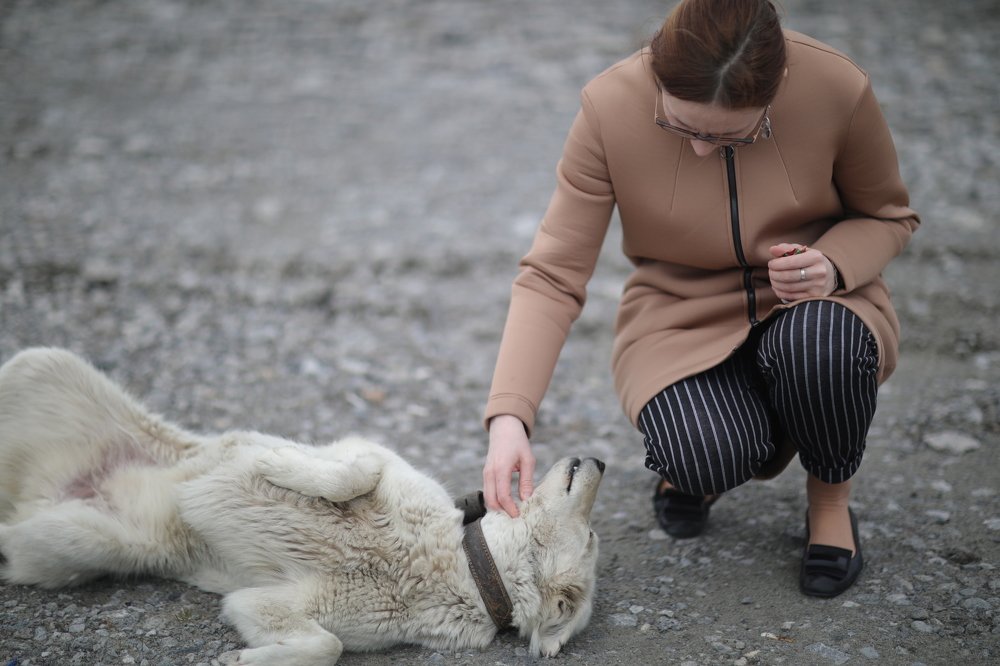 Фотография автора Маргарита Антропова