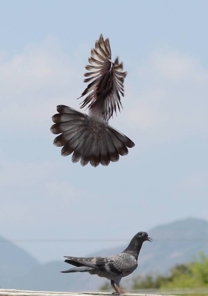 Photograph by Prabhu Viswanathan