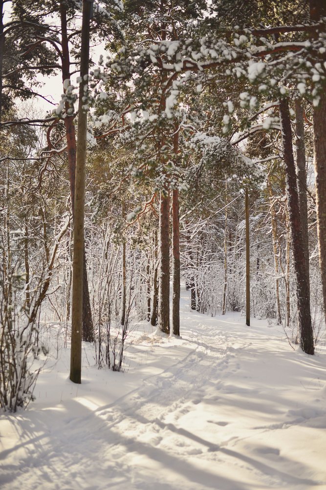 Photograph by Liana Lauta