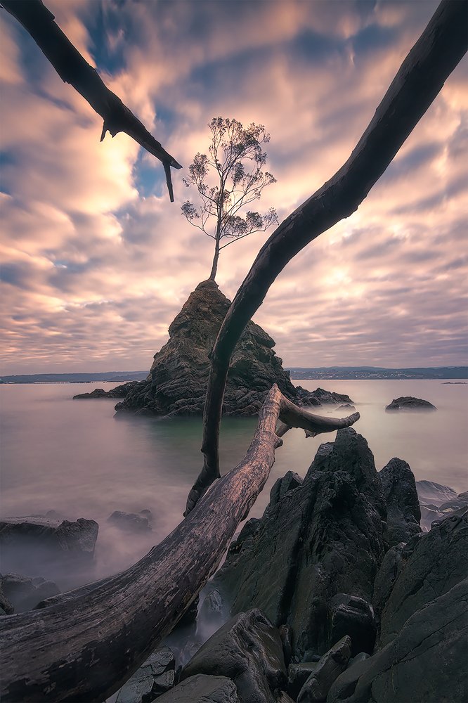 Фотография автора Gestal Marcos