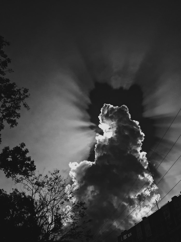 Photograph by Cheryl Cantorne