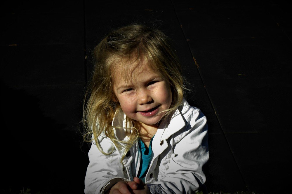 Photo #4561307