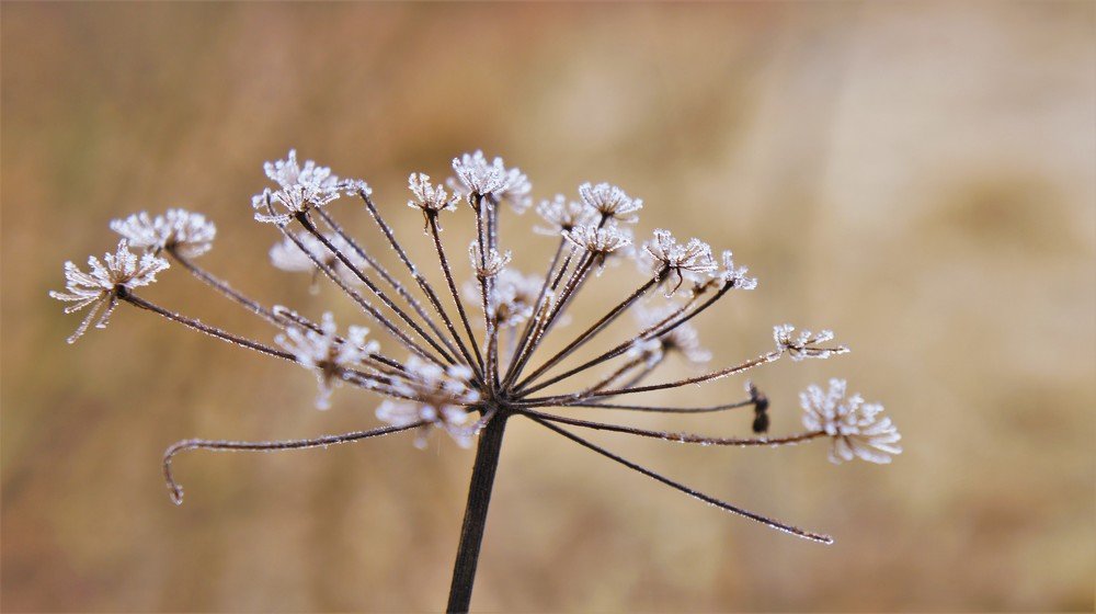 Photograph by Екатерина Апрелева