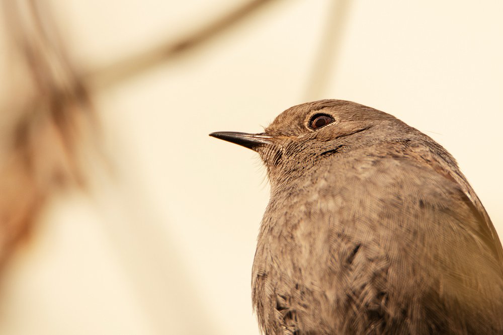 Photograph by Георгий Ковалев