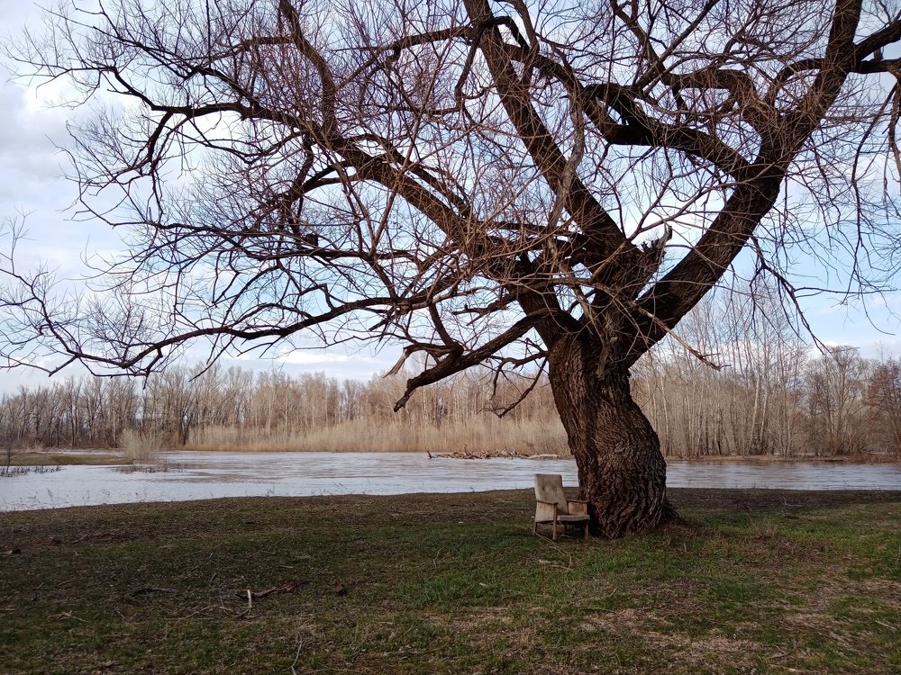 Photo #4561354