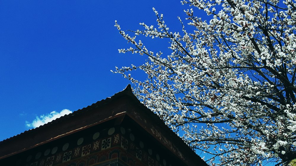 Photo #4561372