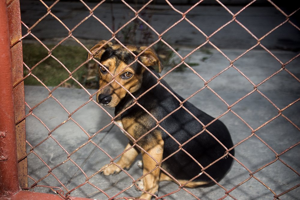 Photograph by Raul Pumar