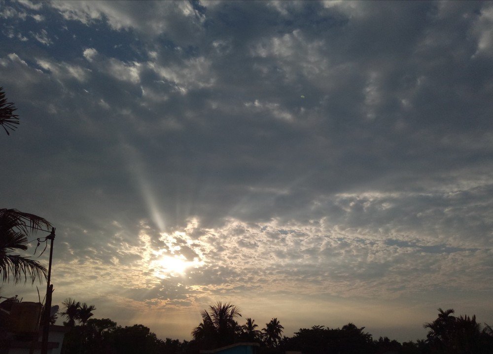 Nature photography
