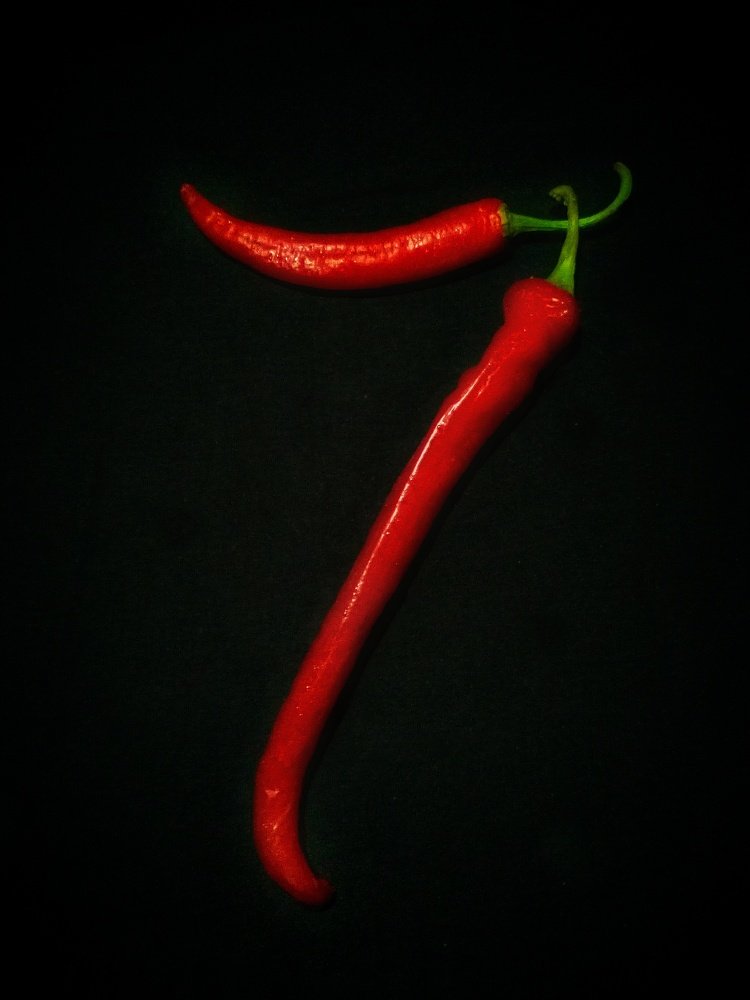 Photograph by Белова Ксения