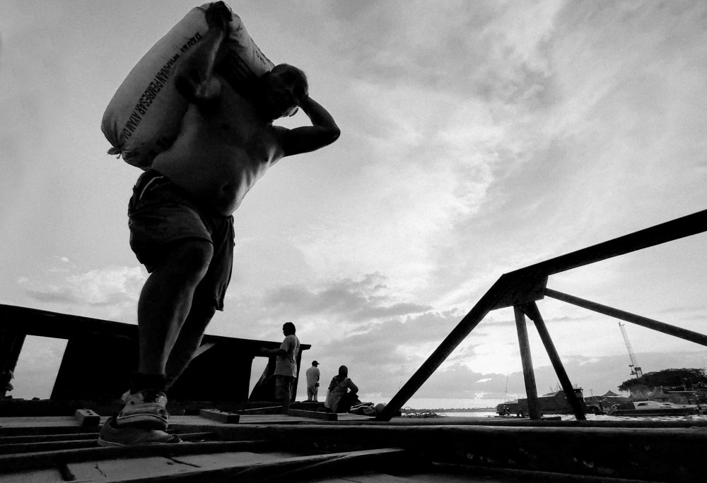 The Stevedore.