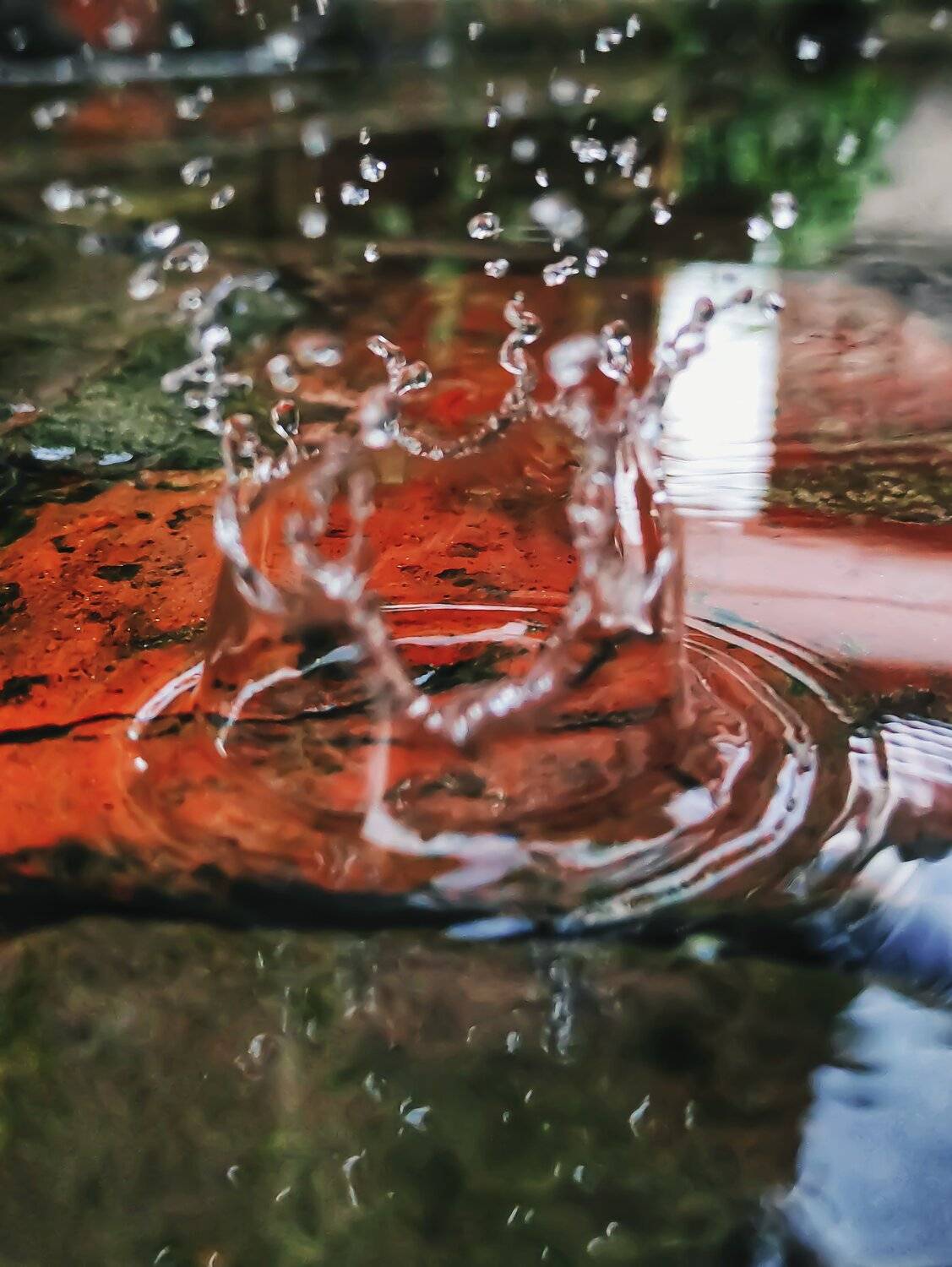 A splash of water.