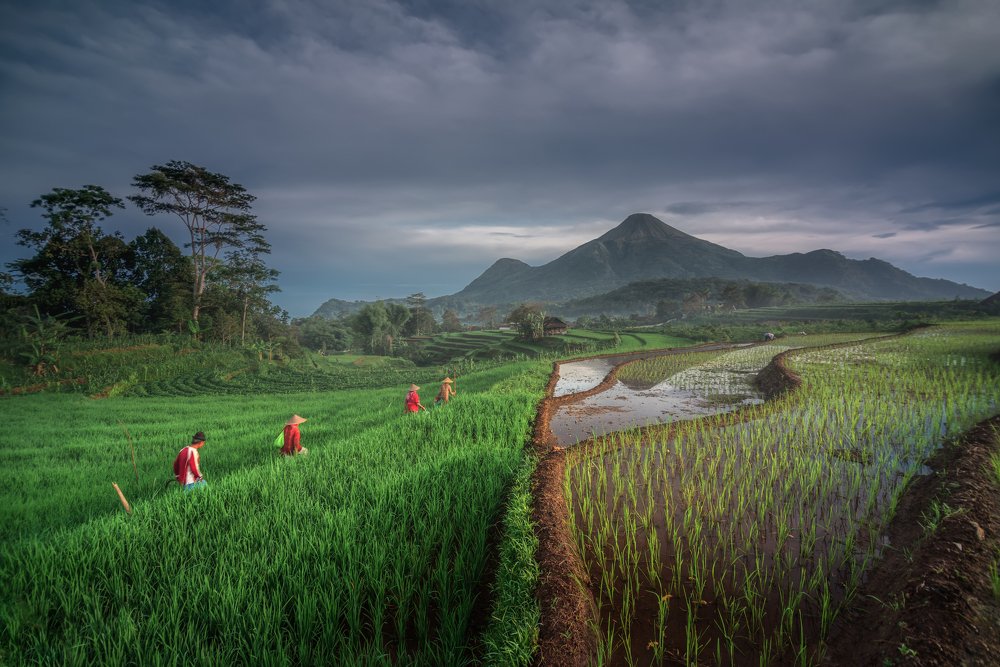 Фотография автора Imam Primahardy