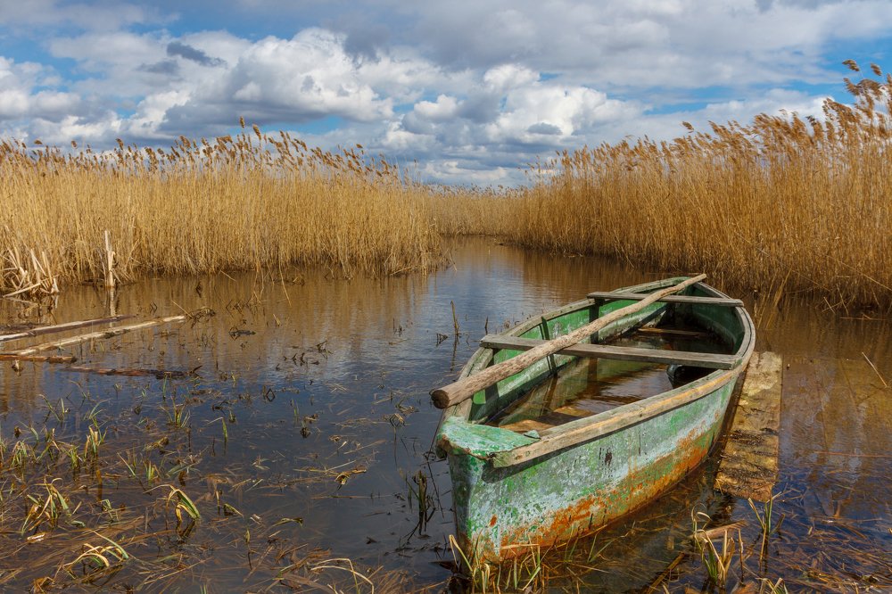 Photograph by Артем