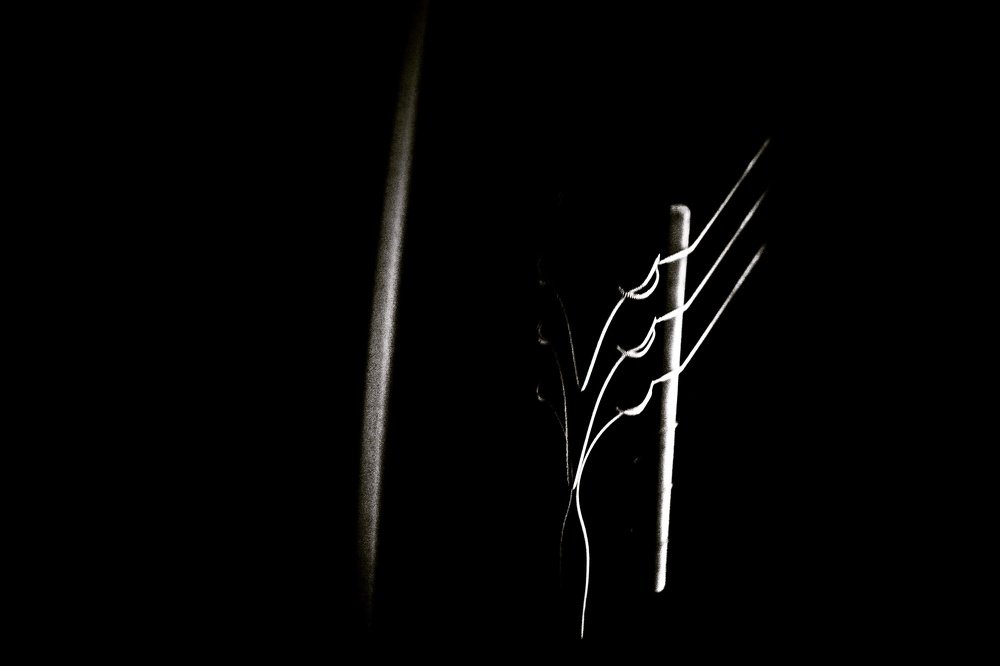 Photograph by Illés Emeric Imre