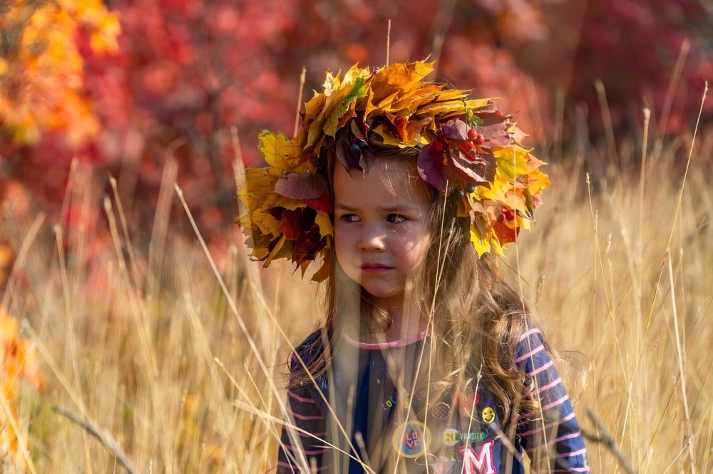 Лисичка в засаде.