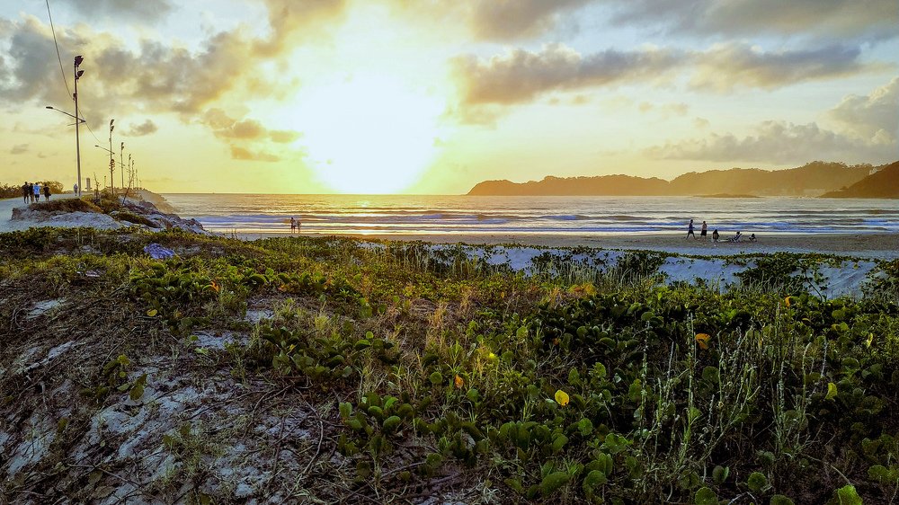 Green and yellow dawn