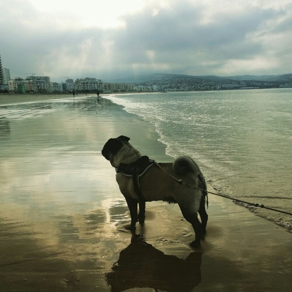 Photograph by Виктор Соболенко