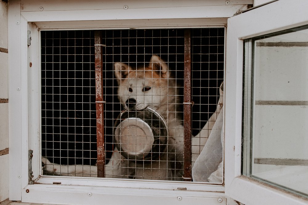 Photograph by Михаил Балабин