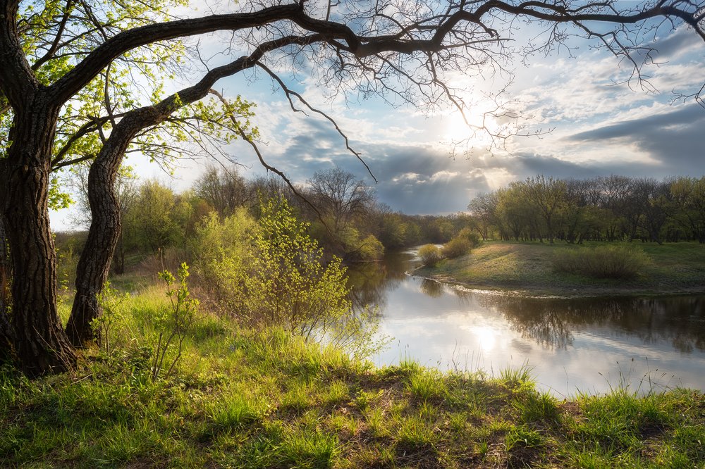 Фотография автора Андрей Жила