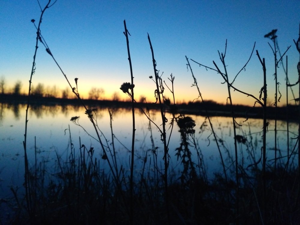 Photograph by Анжела Коршак