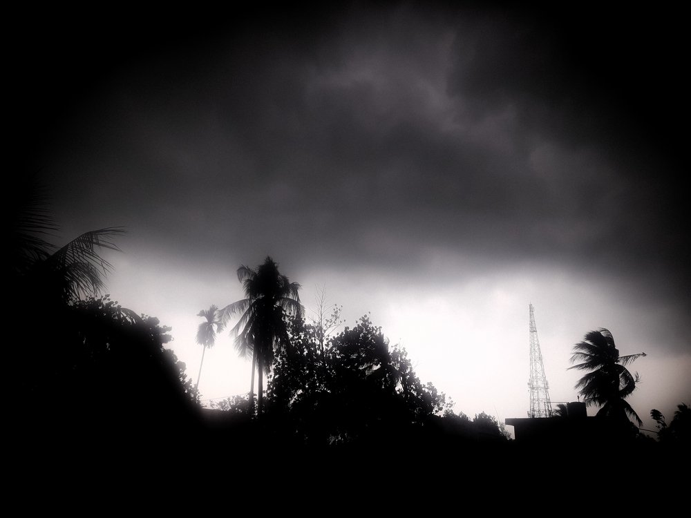 Photograph by Shalini Majumder