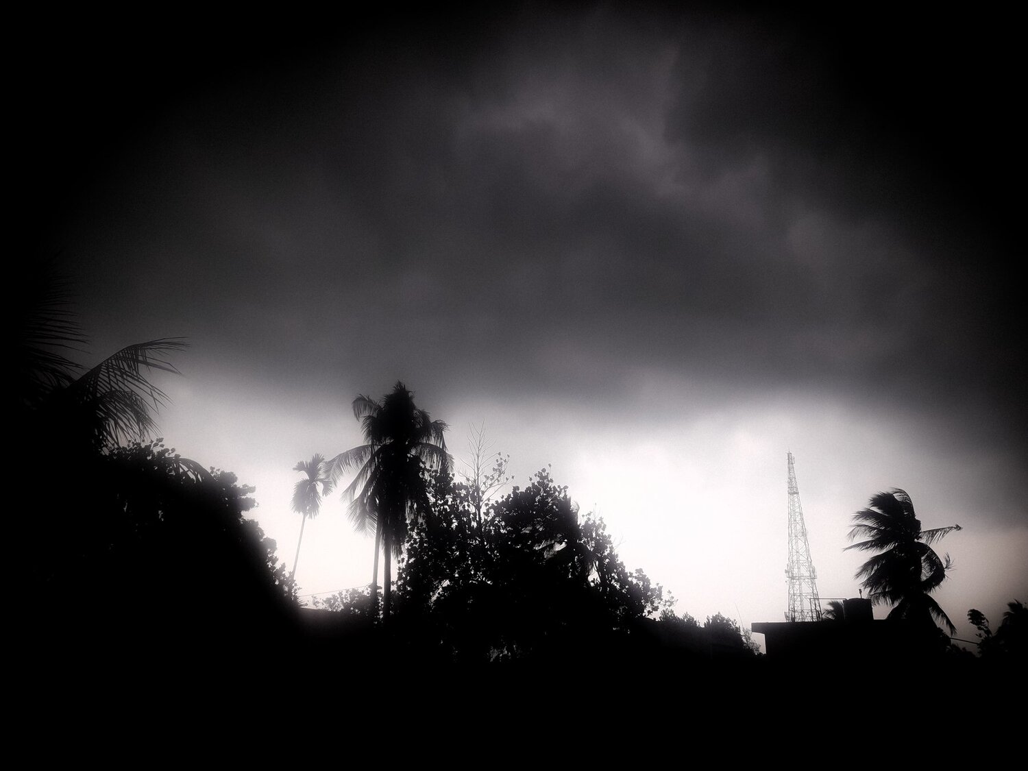 Photo #4562132