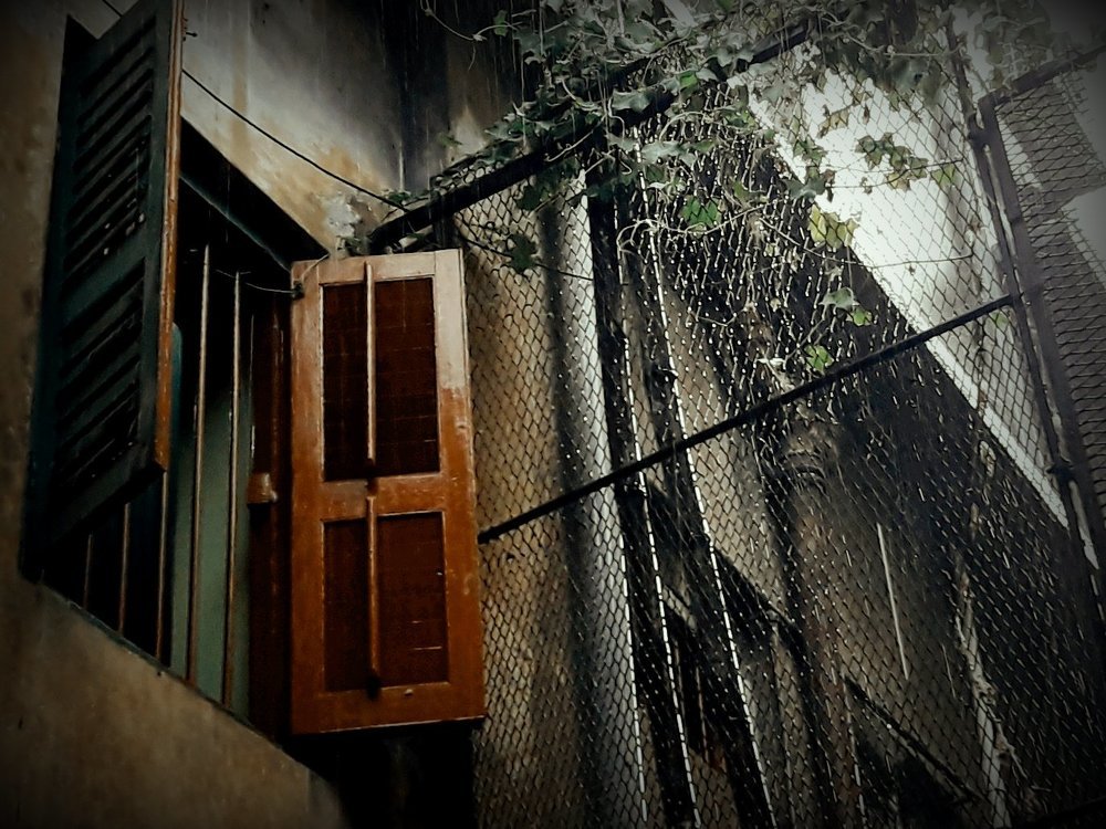 The window pane
