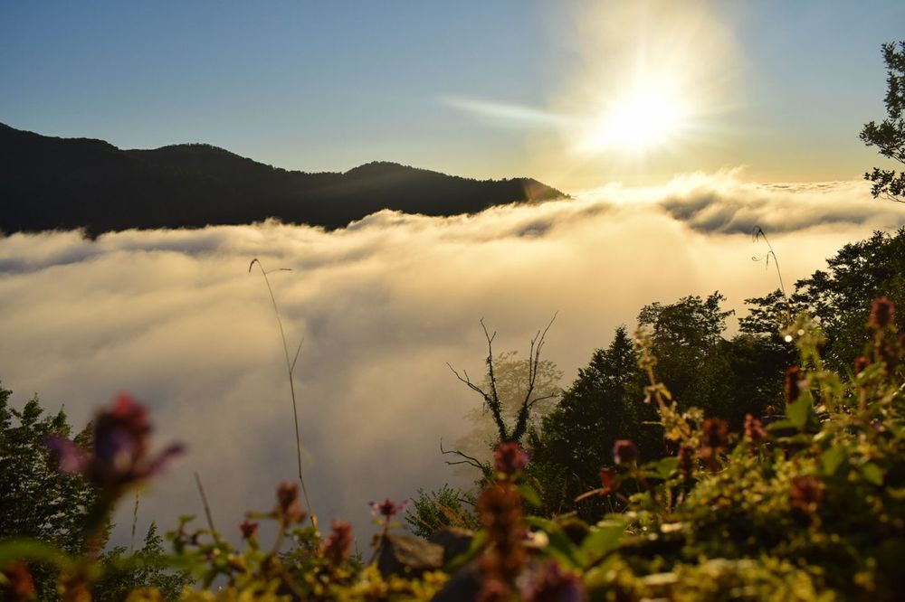 Photograph by Tch Liska