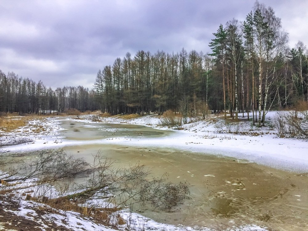 Photograph by Ирина Трошина