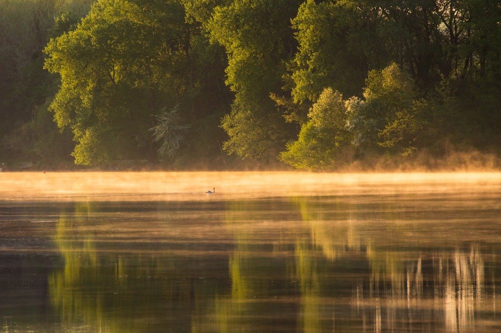 Photograph by Matija Simunic