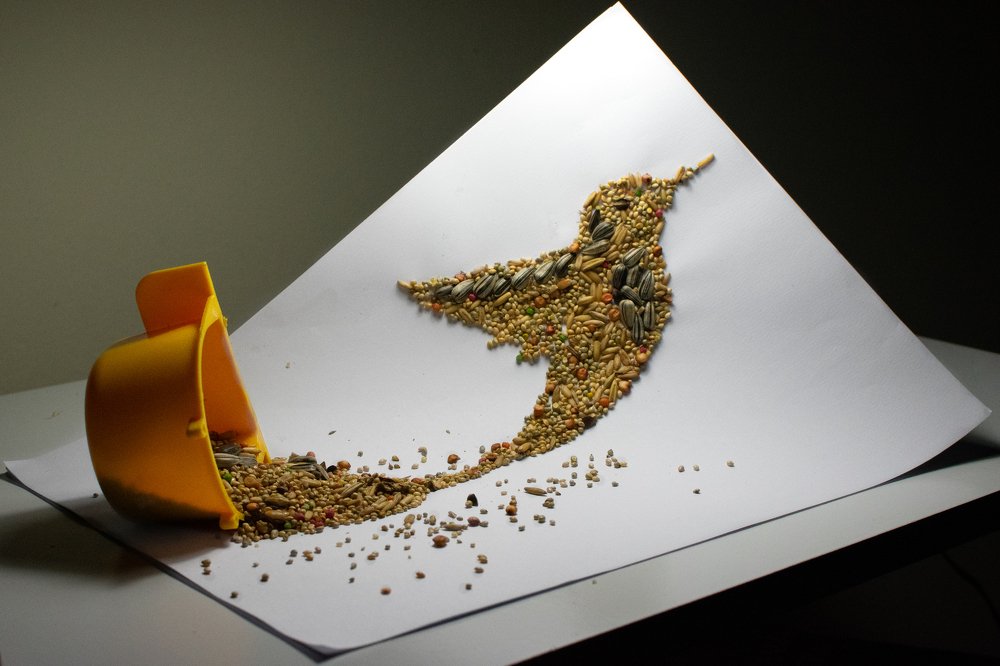 Photograph by Emerson Mendes