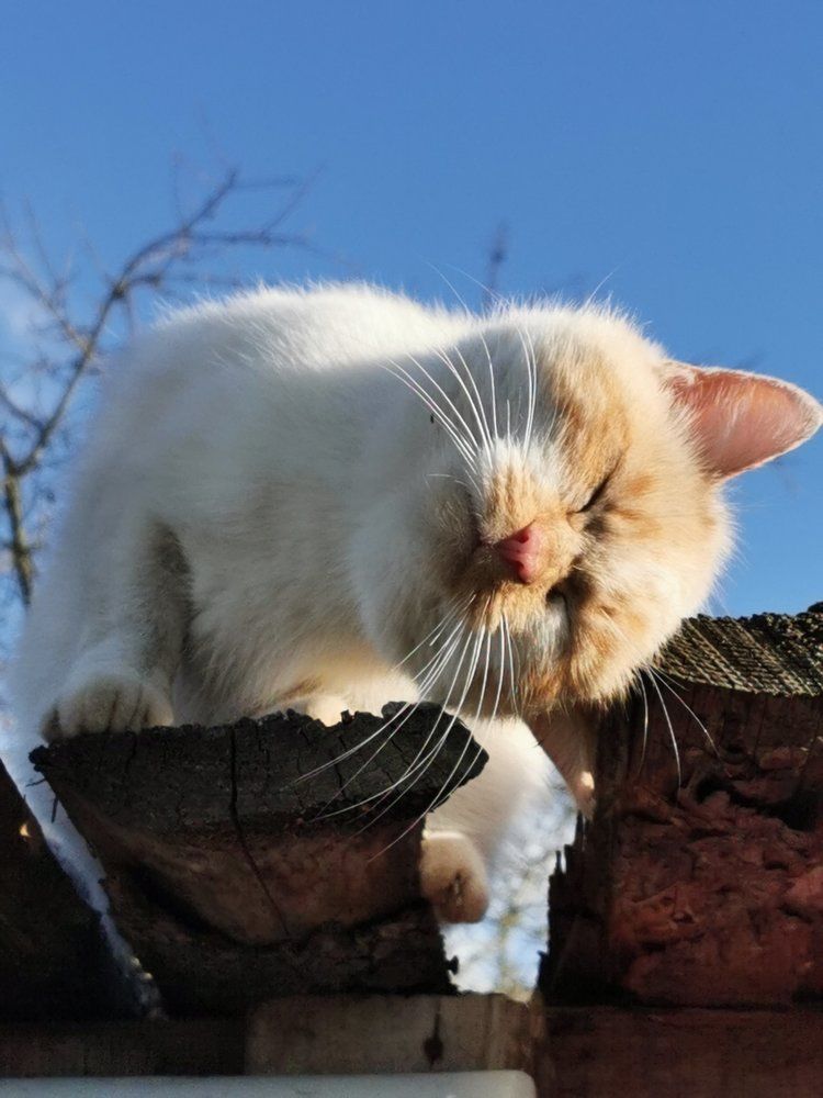 Photograph by Людмила Орловская