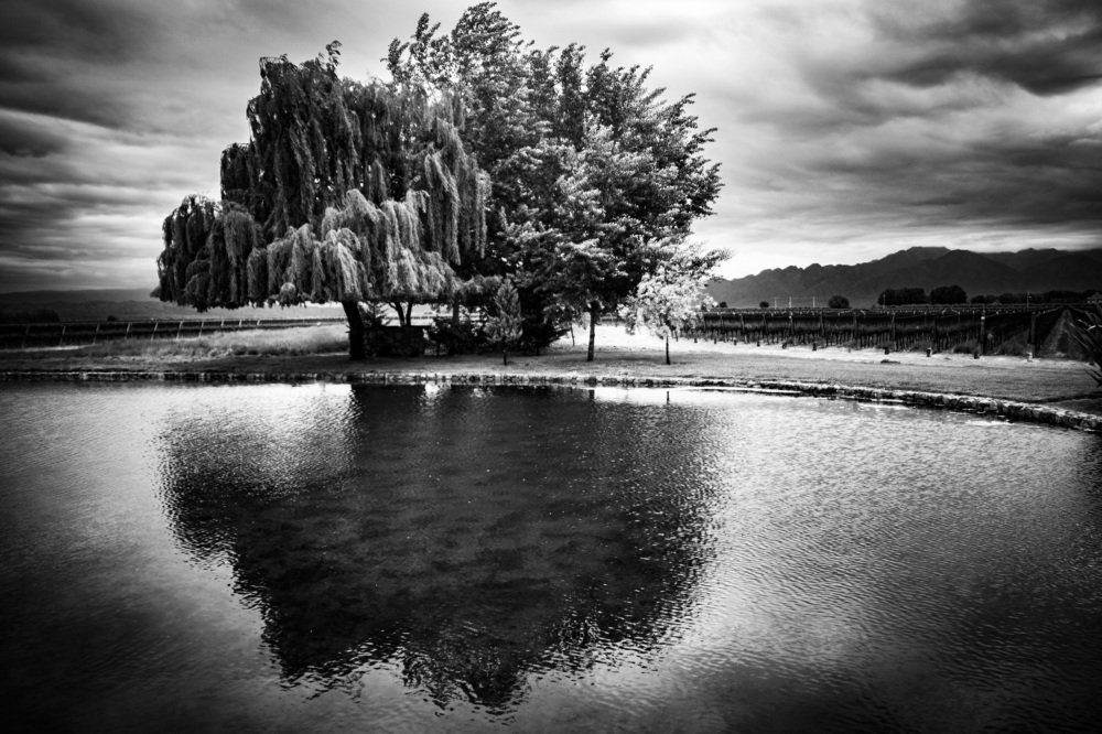 Photograph by martin Dioor