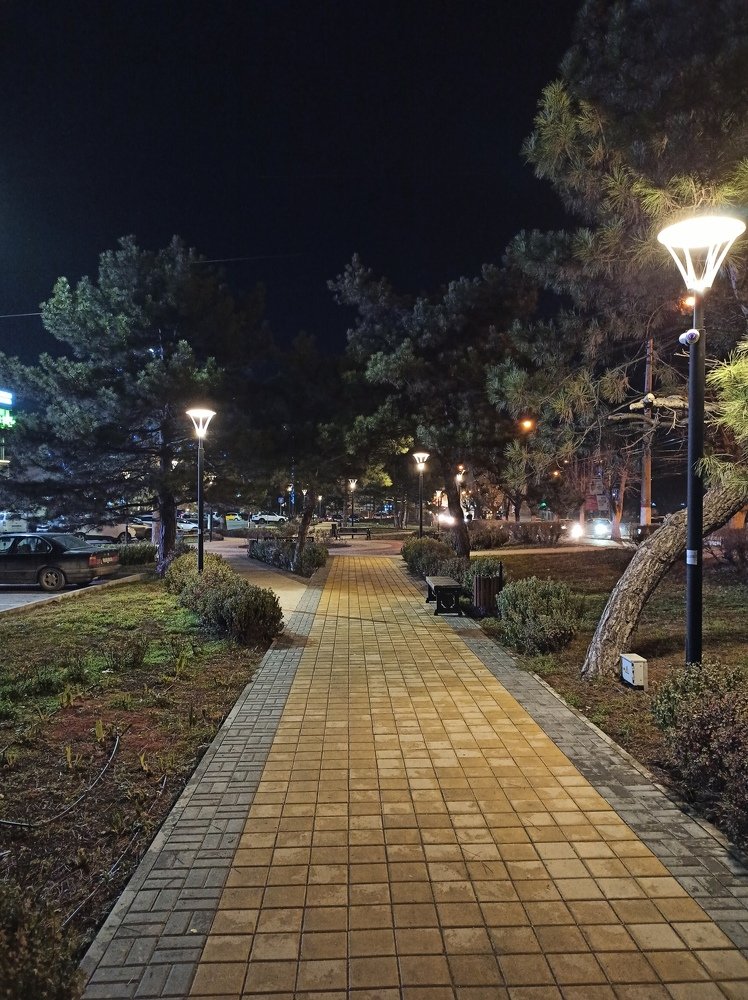 Ночная аллея / Night alley