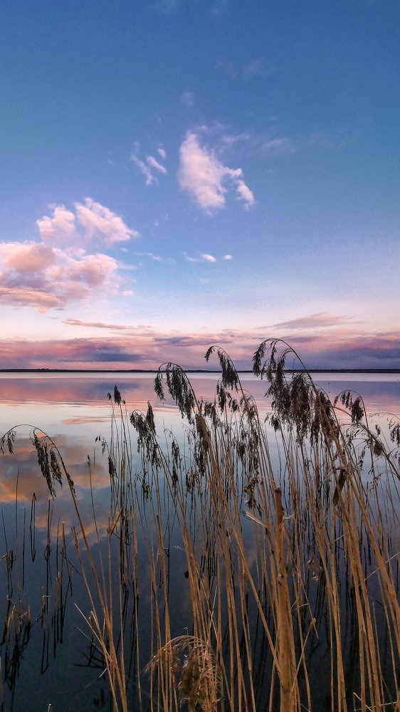 Photograph by Сергей