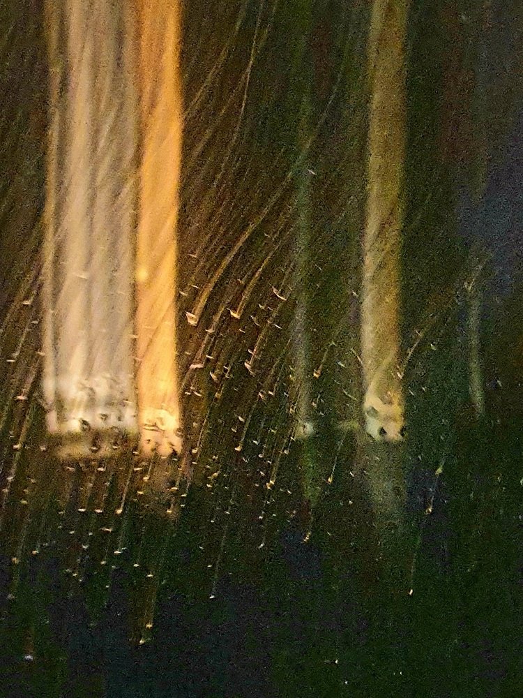 Дождь. Rain