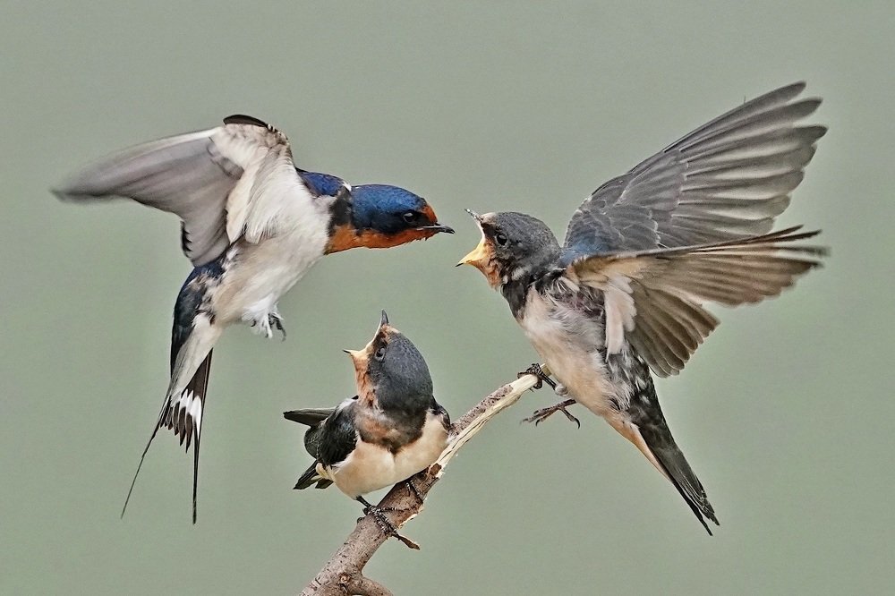 Photograph by Kan Chung Wong