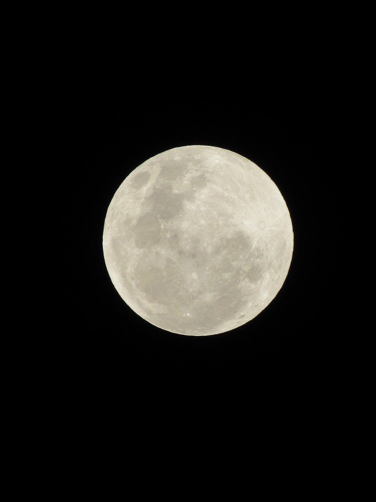 Photo #4562498
