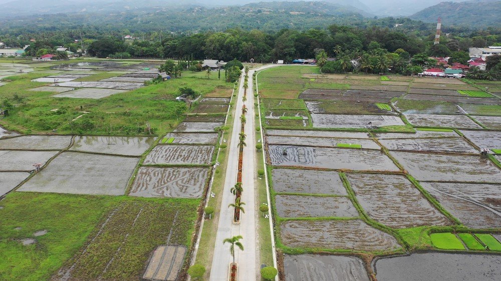 Photograph by Елена Круташинская