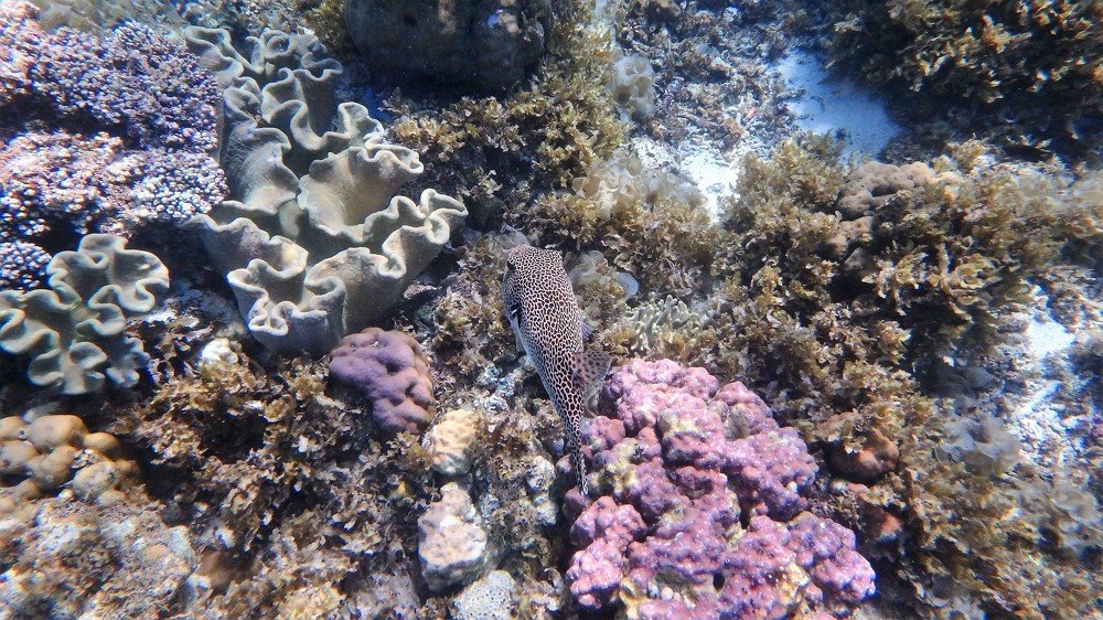 Photograph by Елена Круташинская