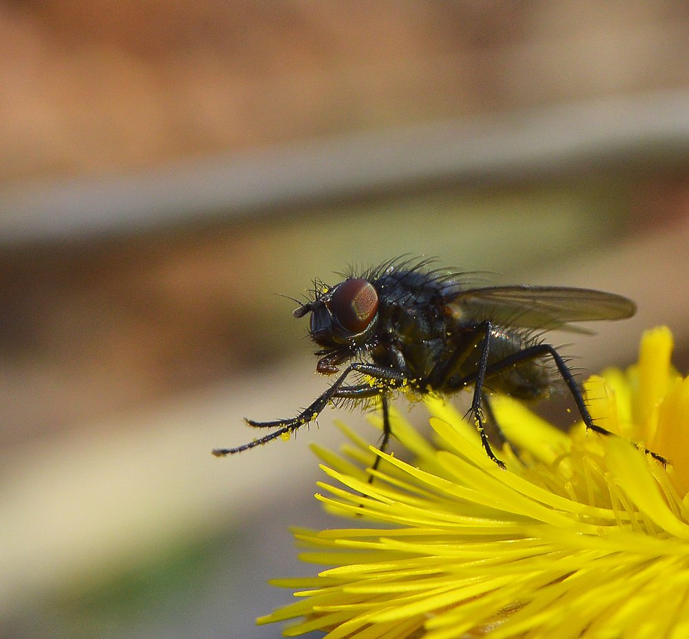 Фотография автора Сергей Суворов